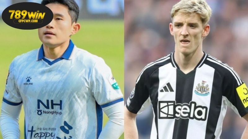 Nhận định bóng đá Ngôi sao Hàn Quốc vs Newcastle, 18h00 ngày 30/7, chích chòe giải tỏa 3 Thông tin lực lượng Ngôi sao Hàn Quốc vs Newcastle mới nhất
